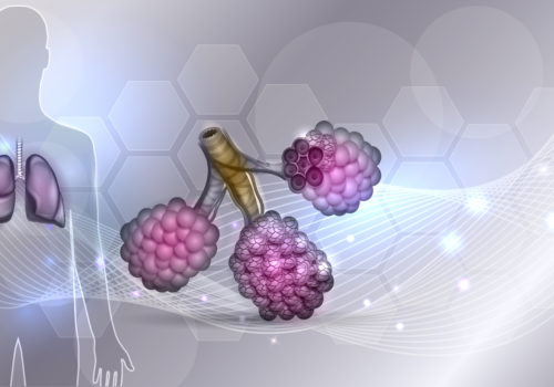 Lungenbläschen (Alveolen) - Lungenfachärztliche Gruppenpraxis