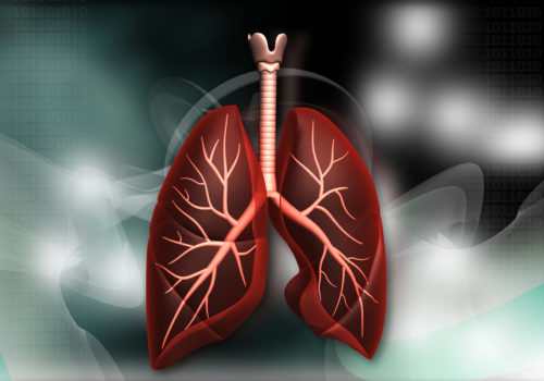 Lungentransplantation